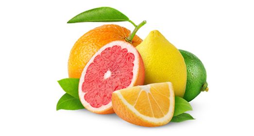 Citrus fruit procurement